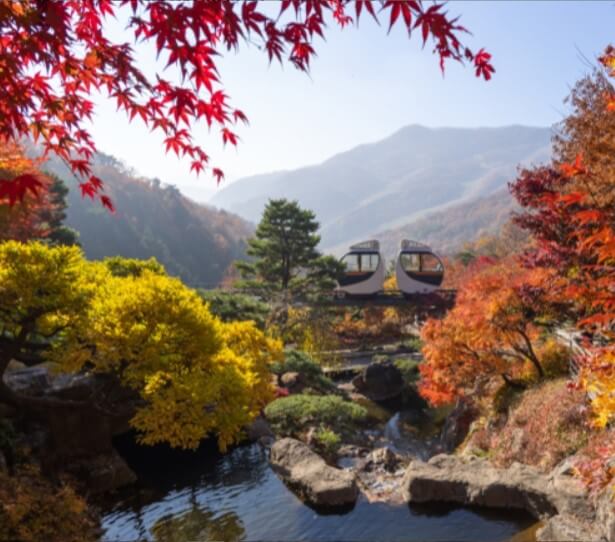 화담숲 가을 단풍시기