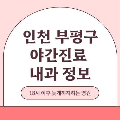 인천 부평구 야간진료 내과 병원 (18시 이후 늦게까지하는 병원)