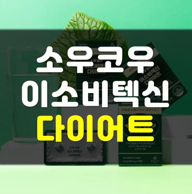 소우코우-이소비텍신-다이어트-후기