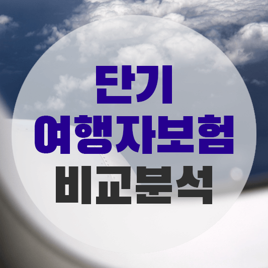 여행자보험 비교분석에 대한 그림