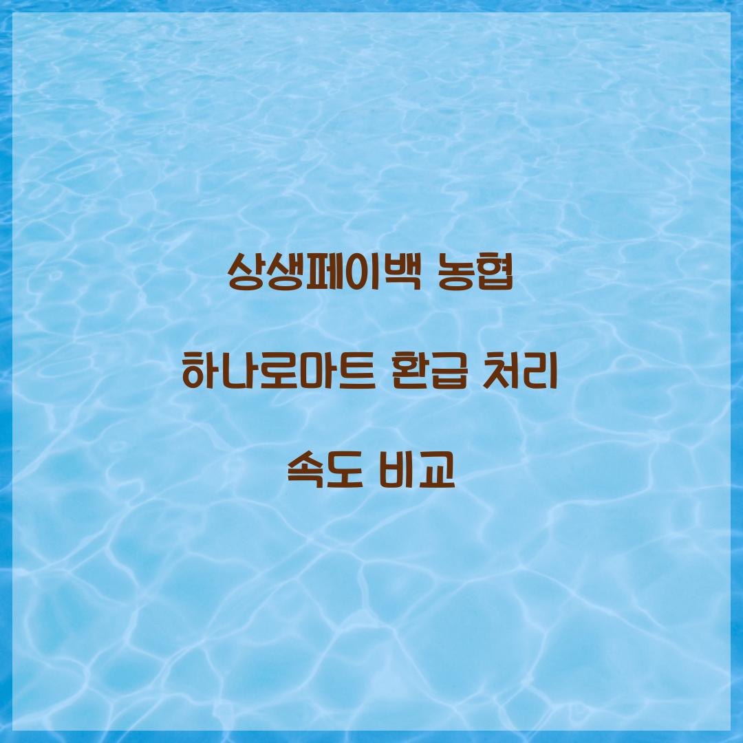 상생페이백 농협 하나로마트 환급 처리 속도 비교