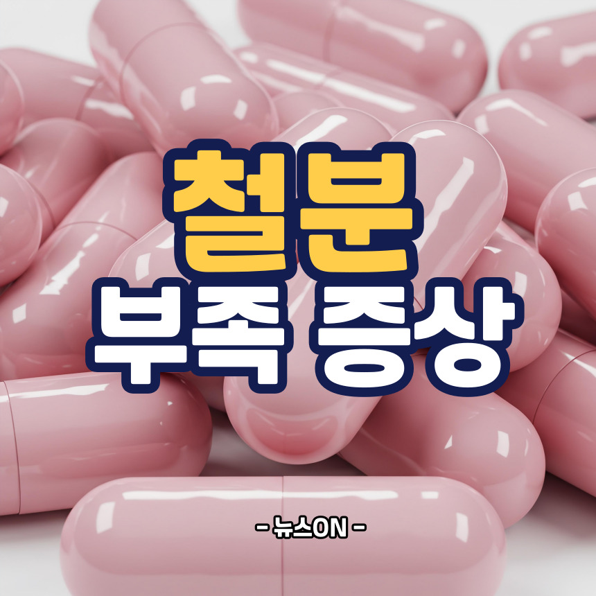 철분부족 증상