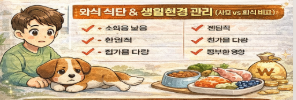 강아지 관절염 한달 병원비 80만원 현실일까? (한달 치료비최대 500만원 사실일까?)