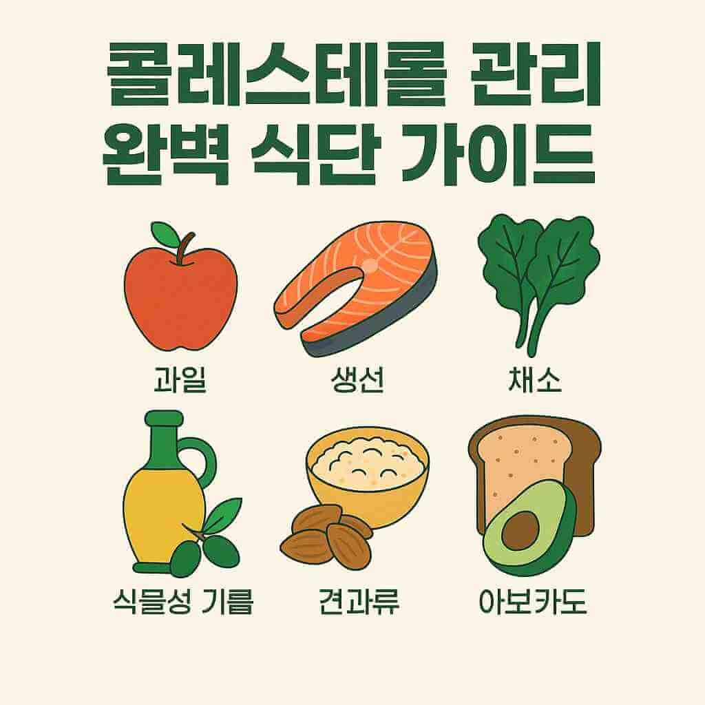 콜레스테롤-관리