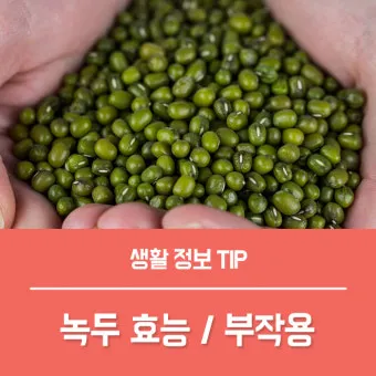 녹두 효능 부작용 녹두죽 끓이는법 칼로리 안내_9