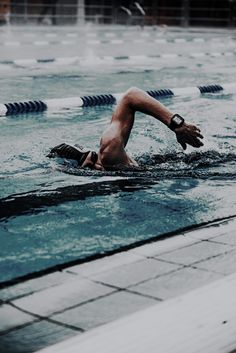 귀리 효능 오트밀 효능 먹는법 칼로리 영양성분 베타글루칸