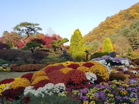 가평가볼만한곳-아침고요수목원