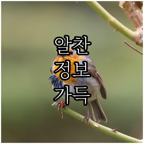 노원구 폐기물 품목별 수수료 온라인에..