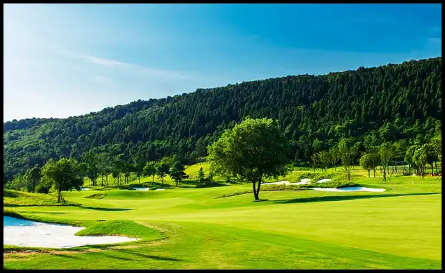 파크골프 용어 정리 (+ 해설 )