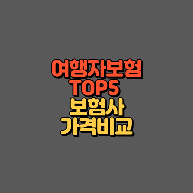 여행자보험 TOP5 보험사 가격비교
