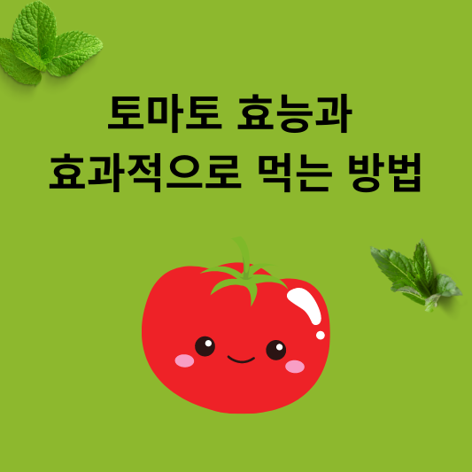 토마토 효능과 효과적으로 먹는 방법