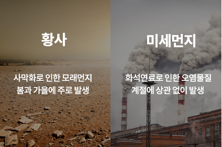 2025년 미세먼지,황사