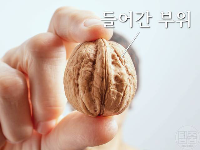 맨손으로 호두 까는 법,호두까기