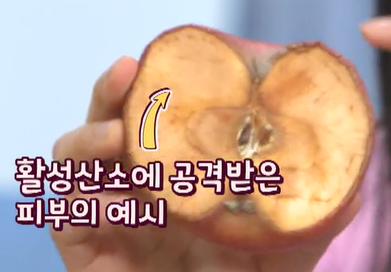 코엔자임큐텐의 효능