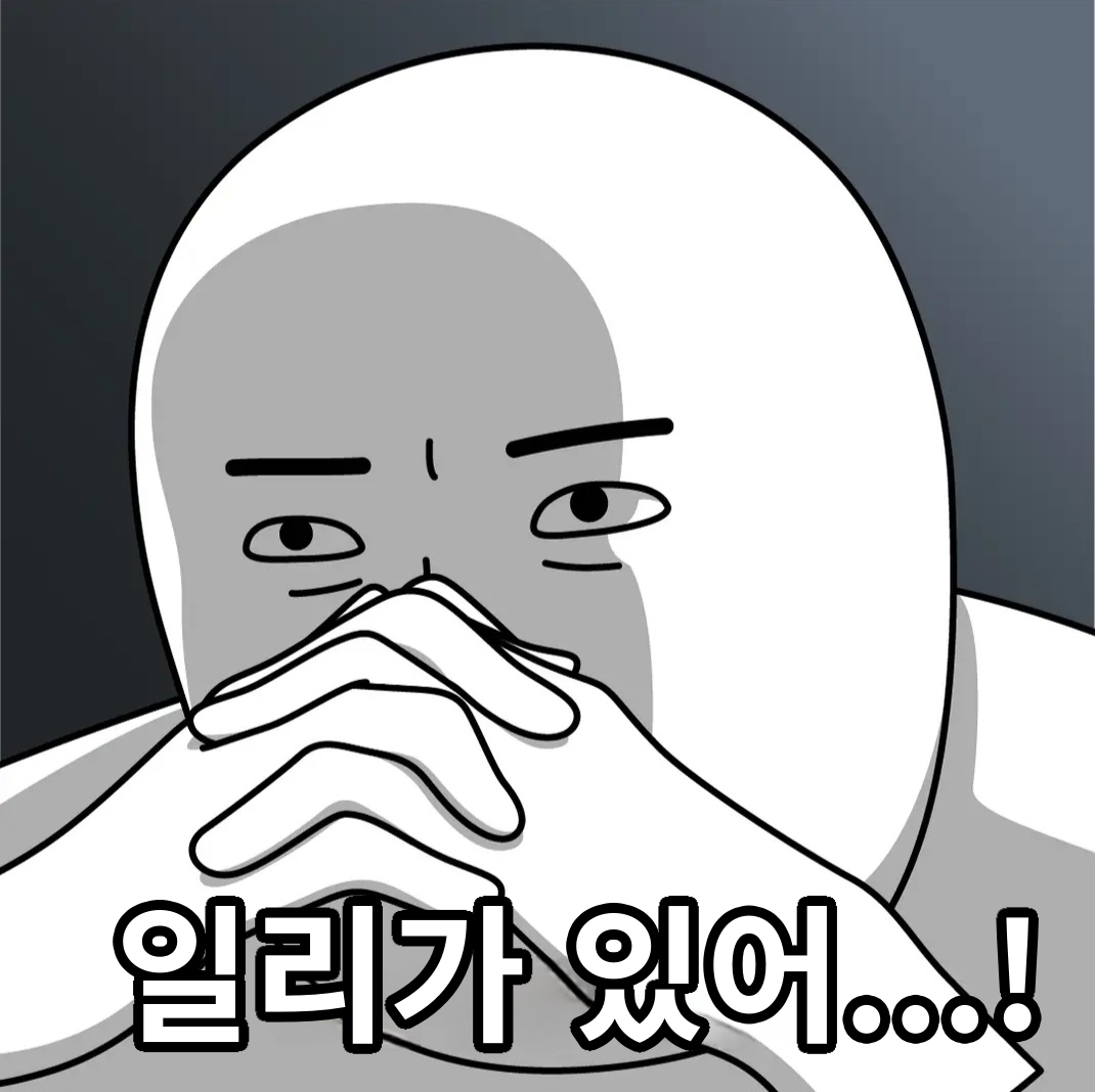 일리가 있어! 짤방 밈 jpg