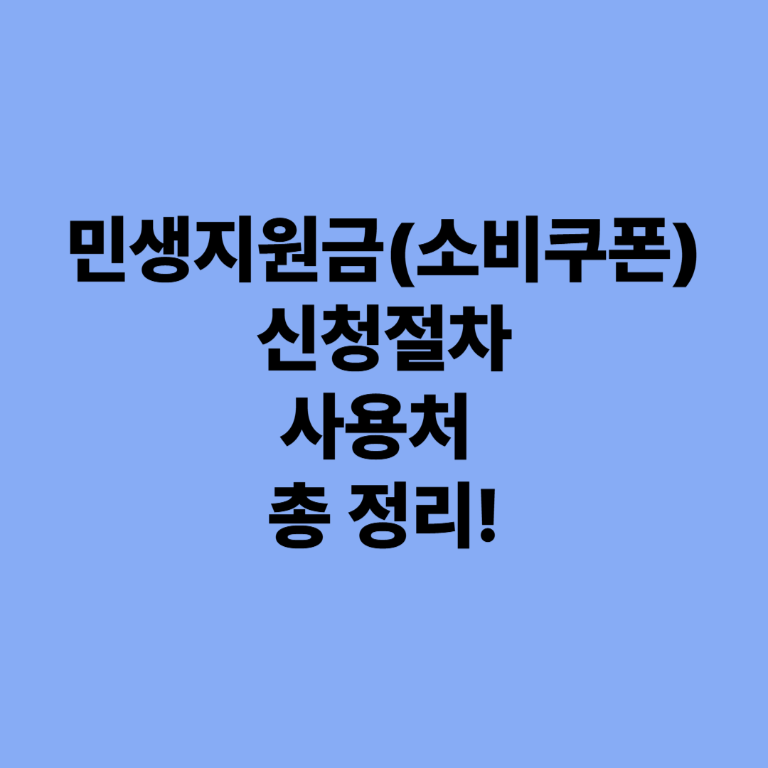 민생지원금
