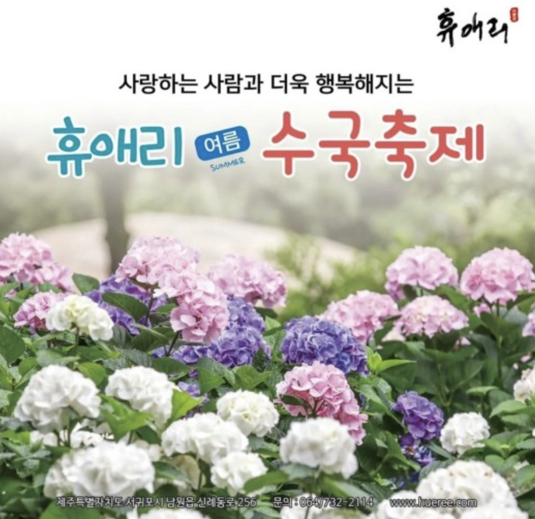 휴애리 수국축제 포스터