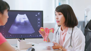 자궁경부암 의사 소견의 모습