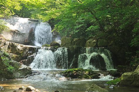 방태산자연휴양림