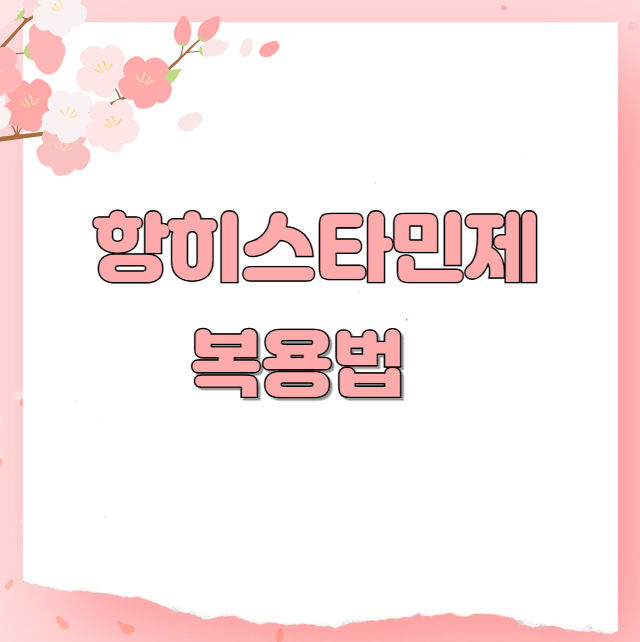 항히스타민제 복용법