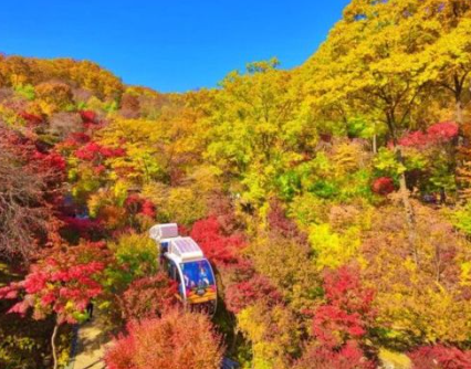 화담숲 예약 3분만에 성공하는 꿀팁