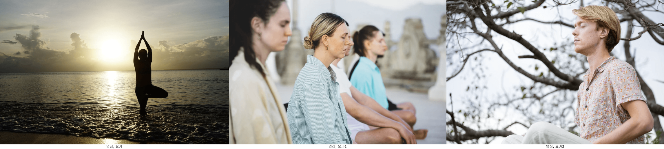 명상, 요가