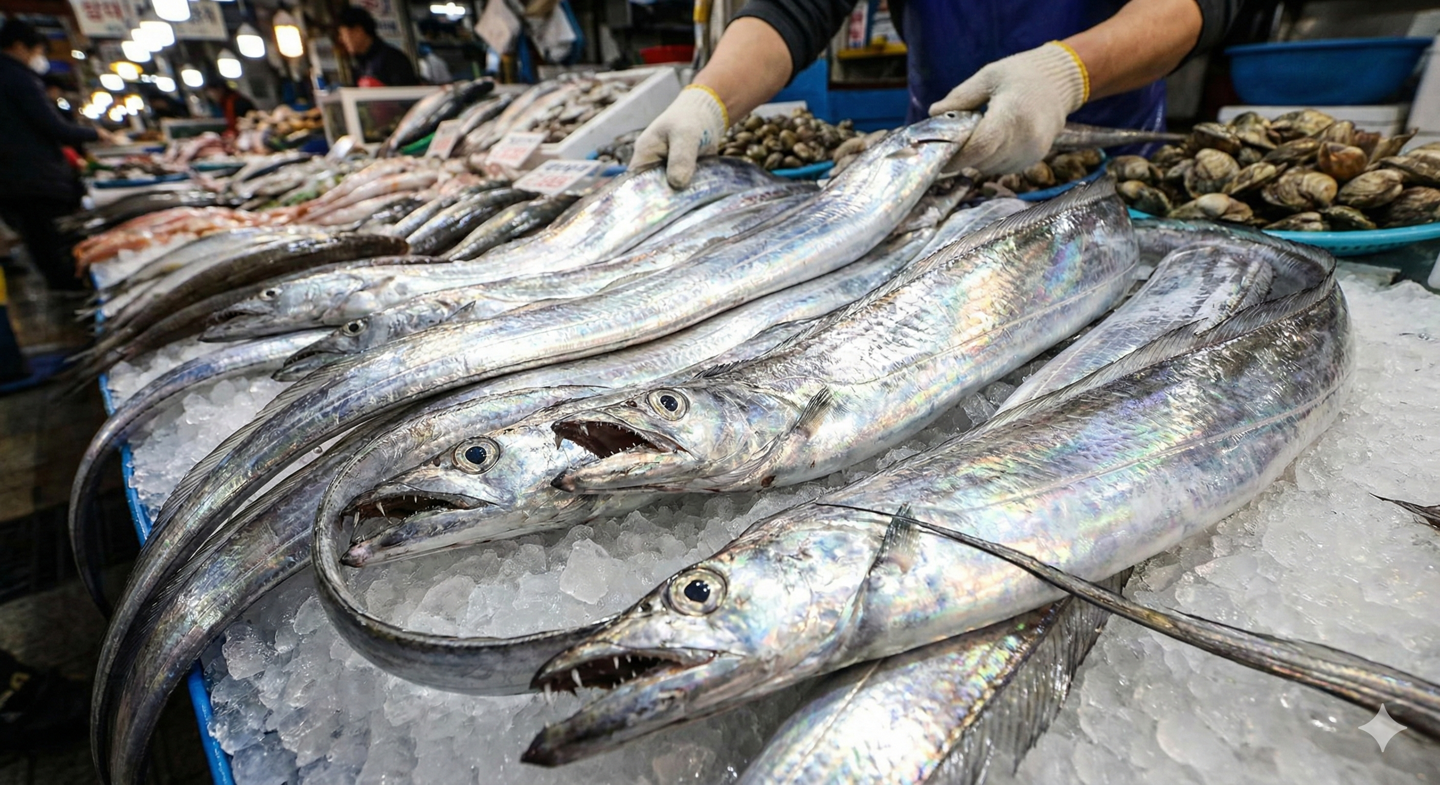 갈치 관련 사진