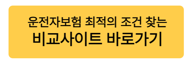 운전자 보험 안 들었죠? 이 글을 안 보면 진짜 후회합니다.