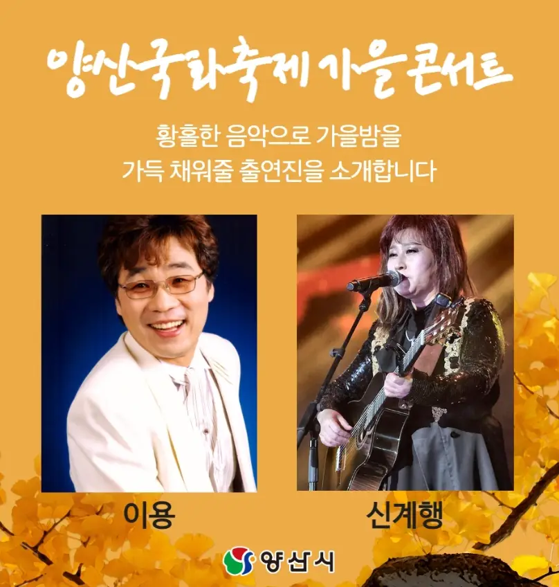 국화축제 사진