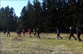 제주도 한 달 살이 체험기