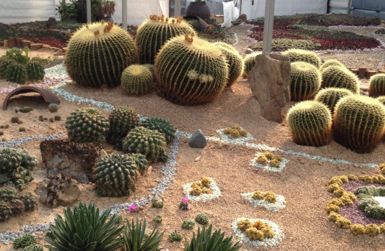 덕평 공룡수목원