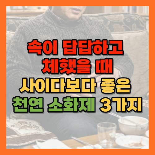 속답답할때, 체했을때, 천연소화제, 무즙효능, 매실차효능, 합곡혈지압, 사관혈, 소화안될때, 속더부룩할때, 과식후소화, 기름진음식소화, 소화불량해결법, 위장건강, 체증해소법, 디아스타아제효능, 피크린산, 위산역류, 소화효소, 체했을때지압법, 소화불량원인, 탄산음료위험, 위장운동, 속쓰림완화, 소화기내과, 과식소화법, 체증증상, 위장건강관리, 소화촉진법, 자연소화제, 황금길가이드