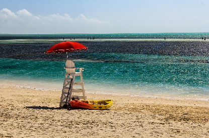 코코 이야기 읽기 (음악, 개인의 선택, 언크리치의 감정선)