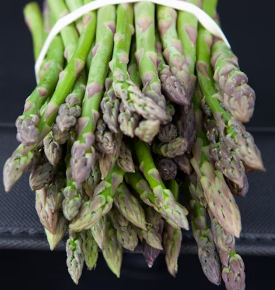 아스파라거스 효능 사랑받는 6가지 고르는법 부작용