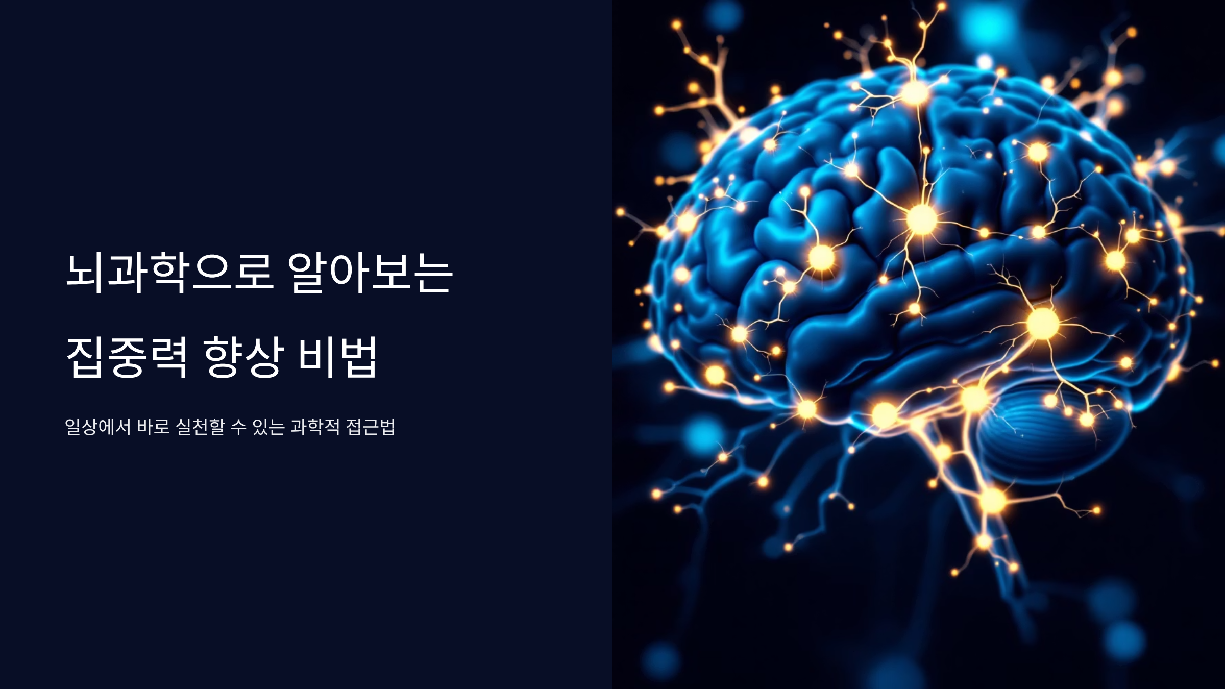 집중력 높이는 뇌과학 비밀 7가지