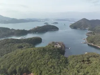 한산도 배시간표 배편 요금 예약 _3