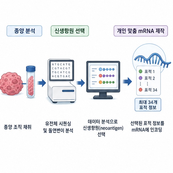 환자의 종양을 유전자 분석한 뒤 면역반응 가능성이 높은 신생항원을 선택하고 개인 맞춤 mRNA를 만드는 과정을 보여주는 그림