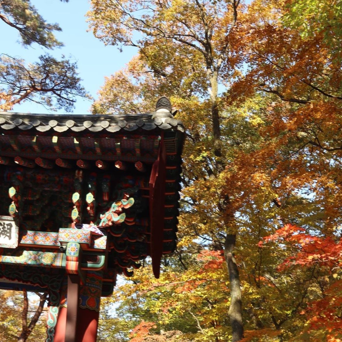 단풍명소