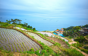 남해여행 가볼만한 곳 베스트10_ 04. 남해 다랭이마을 (포토존, 체험, 산책로)