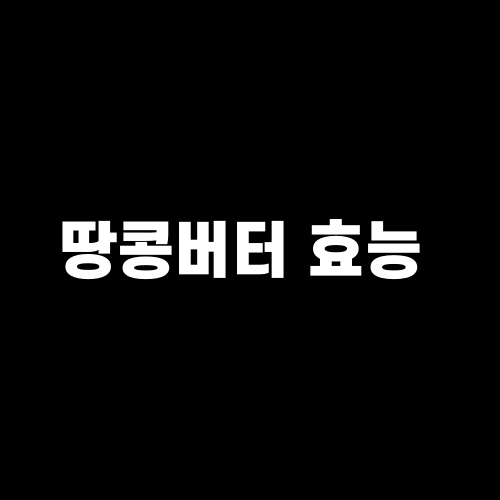 땅콩버터 효능 : 땅콩버터 매일 먹으면