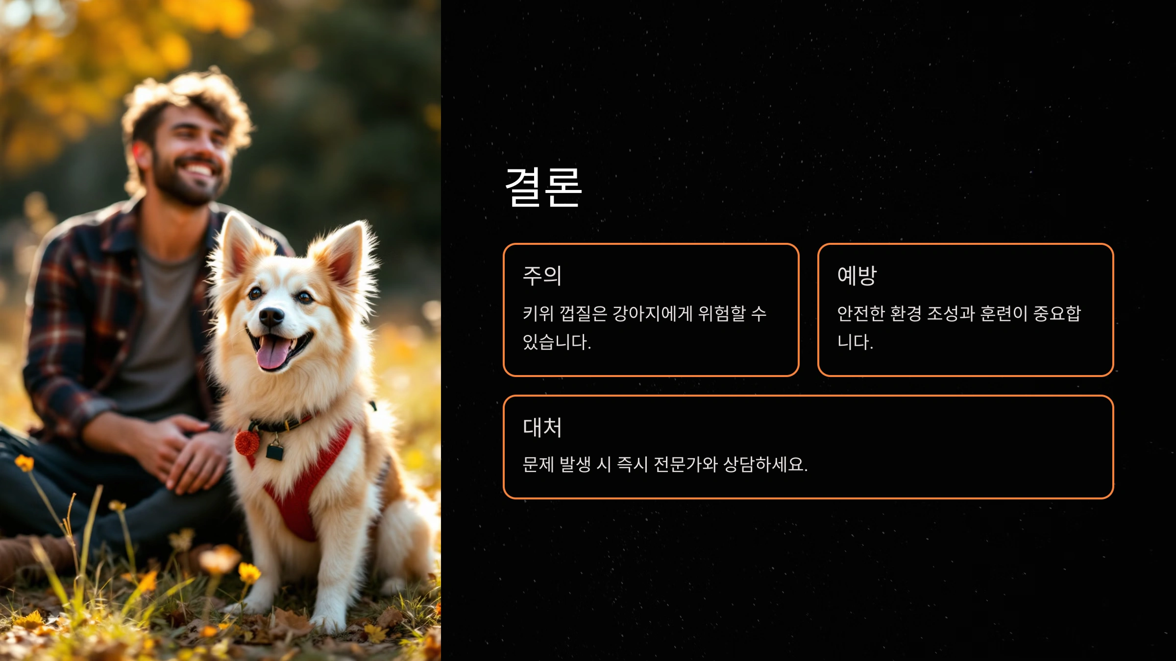 강아지가 키위 껍질을 먹었을 때 주의사항