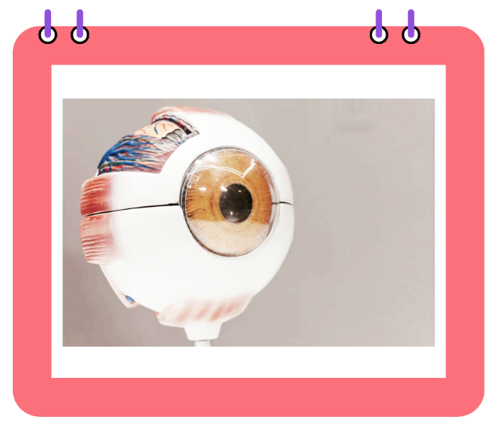 황반변성 전문병원