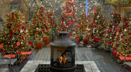 크리스마스/분위기/핫플/카페