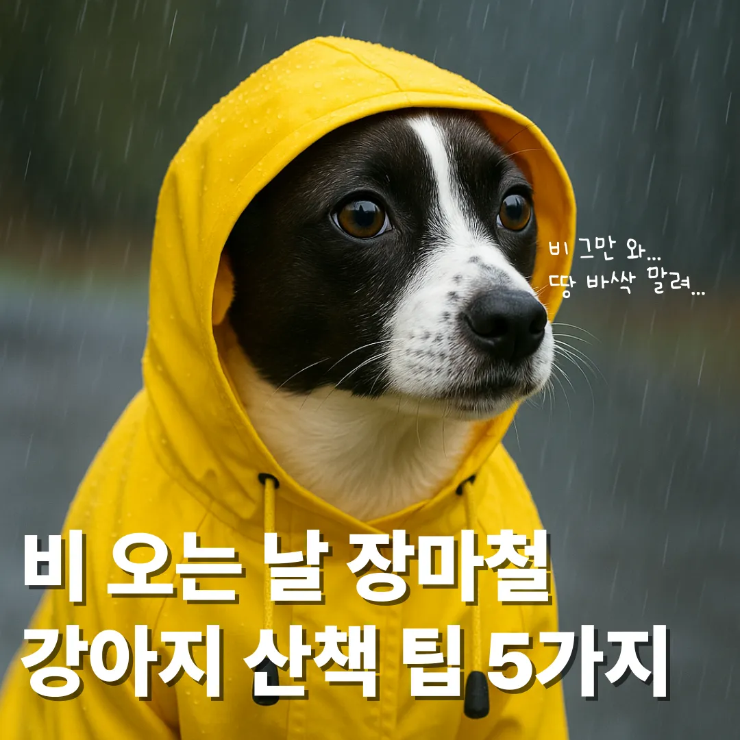 보미를 닮은 바둑이 강아지가 우비를 입고 있는 모습