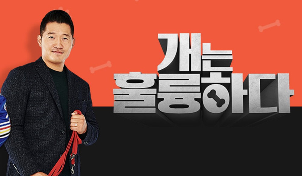 보듬컴퍼니 '개통령' 강형욱 프로필