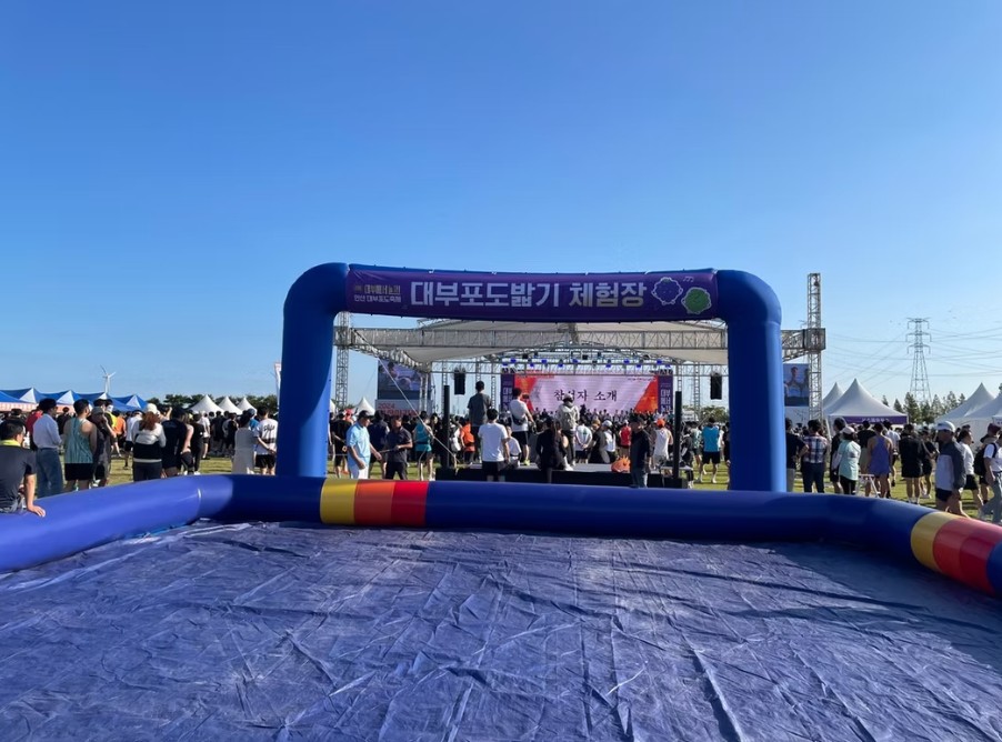 안산 대부포도축제