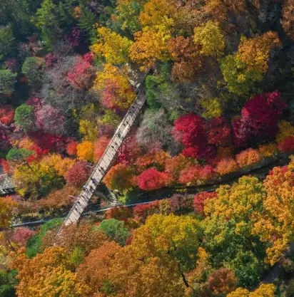 화담숲 가을단풍축제