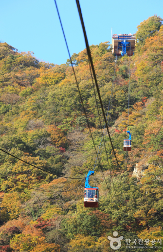 내장산케이블카 정보