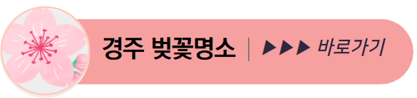 경주 벚꽃명소 바로가기