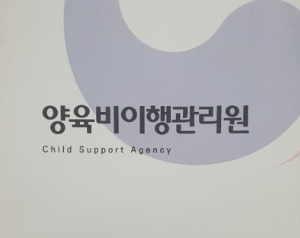 양육비 이행관리원